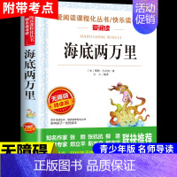 海底两万里 [正版]宝葫芦的秘密张天翼 适合小学生三年级四年级看的课外书上册下册阅读经典书目小学上 下学期读的书籍人民老