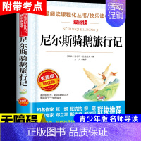 尼尔斯骑鹅旅行记 [正版]大林和小林张天翼 小学生三年级四年级五年级上册下册阅读课外书必读的书籍 老师儿童文学全集宝葫芦
