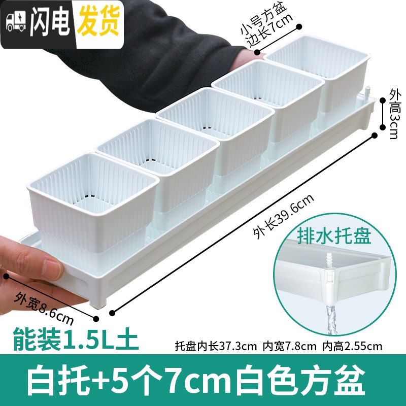 三维工匠控根多肉花盆套装组合塑料创意个性简约透气北欧风肉肉小盆器 [窄排水白托]+5个白盆(7cm盆) 中小花盆容器