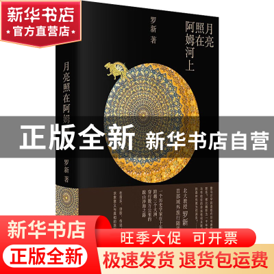 正版 月亮照在阿姆河上::: 罗新 上海人民出版社 9787208178991