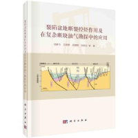 音像裂陷盆地断裂控烃作用及在复杂断块油气勘探中的应用付晓飞等