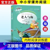 老人与海 [正版]绿野仙踪三四年级课外书必读老师的快乐读书吧木偶奇遇记二年级上册下册课外阅读书籍秘密花园绿山墙的安妮小学