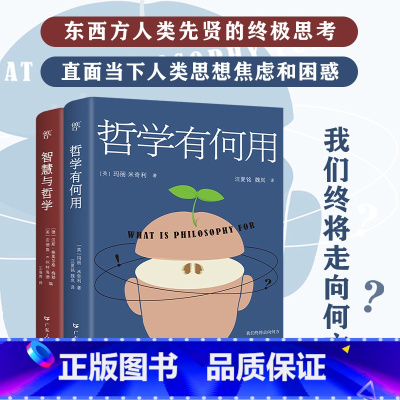 [正版]出版社哲学有何用+智慧与哲学全2册东西方两大哲学阵营跨越千年的史诗对话直面当下人类思想焦虑和困惑人类先贤思考
