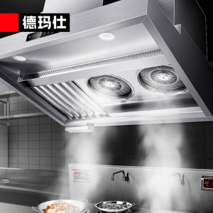 德玛仕(DEMASHI)油烟净化一体机商用 不锈钢低空油烟净化器LZY-YT-J2000(5000风量2.0米)电压可选