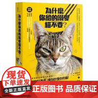 [港台原版] 为什么你给的溺爱猫不要? 潘.强森班奈特 方舟文化世纪出版