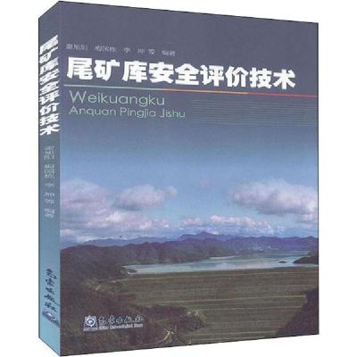 正版新书]尾矿库安全评价技术编者:谢旭阳//梅国栋//李坤|责编: