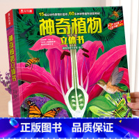 神奇植物 [正版] 植物百科立体书儿童3d立体书3-6-8-10-12岁以上神奇植物奇趣昆虫神秘海洋读物宝宝早教幼儿园小