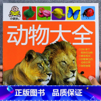 [正版]小婴孩动物大全 1-2-3岁宝宝学说话中英双语启蒙早教看图识物绘本 大字彩图版益智书籍 婴幼儿宝宝森林草原海底