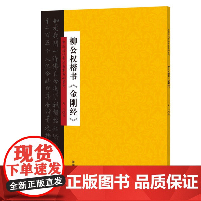 中国历代书法名家名品系列 柳公权楷书《金刚经》