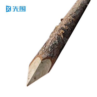 先围 防洪木桩 直径8-10cm长1.8米 根