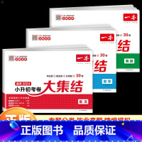 [全3册 小升初考卷大集结]语文+数学+英语 小学升初中 [正版]2024新版小升初冲刺新卷语文数学英语名校冲刺人教版小
