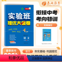 语文 八年级/初中二年级 [正版]2024春实验班提优大考卷八年级下册人教版语文初中同步测试卷期中期末达标练习全套讲解中