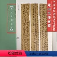 [正版]龙山里耶秦简 中国古代简牍书法精粹 民间书法临摹练字帖精选放大本高清彩印附注释竹简木板书字帖隶书字体 河南美术