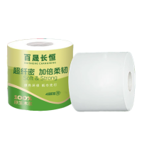 百晟长恒 BSCH-C28GS 4层 10卷 160g 手提纸 空芯(计价单位:提)绿色