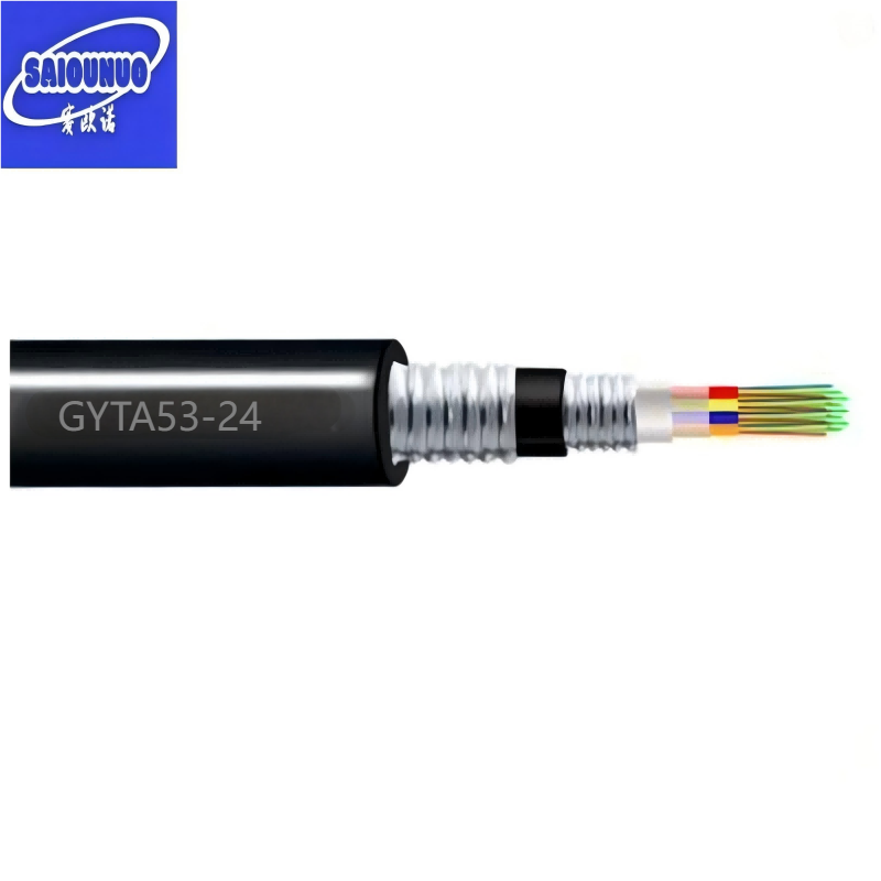 赛欧诺 混合光缆 GYTA53-24 米