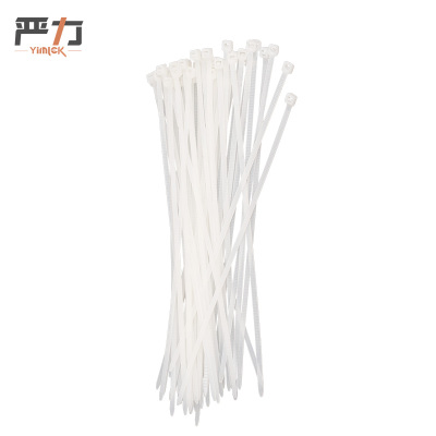 严力 YIMLEK 尼龙扎带 3*100mm(100根) 包