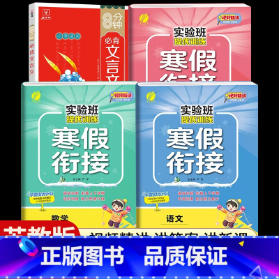 [六年级江苏版4本]语数英寒假衔接+小学必背文言文 小学通用 [正版]2024新实验班寒假衔接一年级二年级四五六三年级上