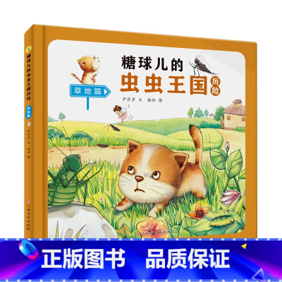 草地篇 [正版]糖球儿的虫虫王国历险(6册)可以单发 精装硬壳绘本彩绘版 幼儿园阅读昆虫科学图画书 3-6岁幼儿童早教启