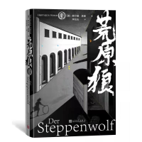 音像荒原狼(德)赫尔曼·黑塞