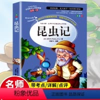 昆虫记 [正版]昆虫记法布尔原著完整版法布尔著全集小学生三四年级下册课外书必读美绘版人民儿童文学教育阅读书籍山东美术出版