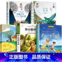 四年级课外书全5套 [正版]总有一天会长大四年级课外书必读夏洛书屋经典版梅子涵儿童文学童话故事书读物小学生二年级三年级课