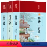 [正版]彩绘精装唐诗宋词元曲三百首诗经楚辞全注全译全解全集中国古诗词大全集鉴赏辞典古诗风雅颂300首小学生初高中生国学