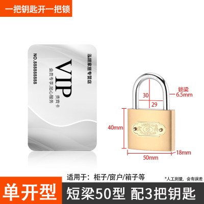 锁门挂锁小锁带钥匙锁小型锁头铜锁家用老式门锁 配3把钥匙 50mm[独立型]