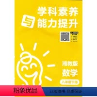 数学 八年级下 [正版]24春 学科素养与能力提升·数学八年级下册(配湘教版) 湖南教育出版社 书店图书