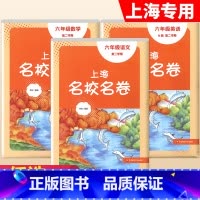 6年级下册 语数英(全3册)大字版 小学通用 [正版]2024上海名校名卷二年级一二三四五年级六七八九上下册语文数学英语