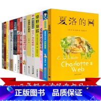 [正版]三年级必读经典书目全套夏洛的网宝葫芦的秘密皮皮鲁传天方夜谭苹果树上的外婆游戏中的科学风到哪里去了犟龟小学生课外