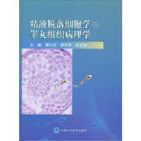 音像脱落细胞学与组织病理学(精)曹兴午