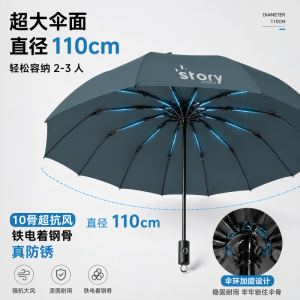正雨高档加大超强防风雨伞男士加厚加固晴雨两用大暴雨双人10骨9063