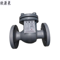 欣源泉 止回阀 DN125 /个