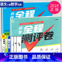 [正版]2024新版全程测评卷二年级上册试卷测评试卷二上语文人教版RJ数学苏教版SJ江苏小学2年级上学期同步课时练期中期