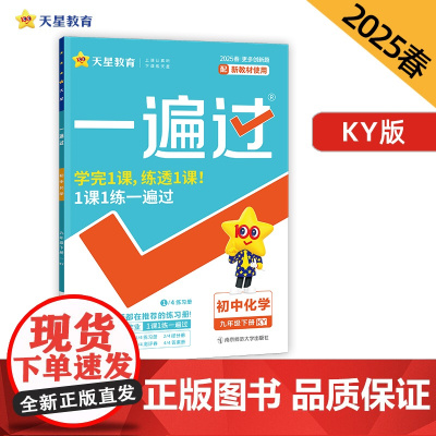 一遍过 初中 九年级下册 化学 KY(科粤)教材同步练习 2025年新版天星教育