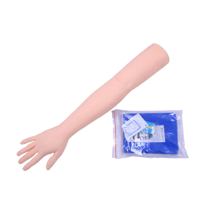 恒则卫勤救援场景模拟训练演练假人假肢急救高仿真假肢带体征,适配包扎固定训练,耐用救援技能促成