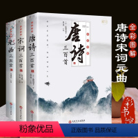 [正版] 全套3册唐诗三百首宋词元曲大全集 中国古诗词鉴赏赏析诗词古代词赋歌全集300首古典文化全彩图解带注释译文解析