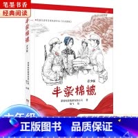 《半条棉被》-湖南少年儿童出版社 [正版]阅美湖湘笔墨书香经典阅读六年级逆风飞翔中国轨道号追寻少年与海雨季的阳光半条棉被