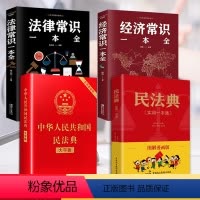 [正版]4册 民法典漫画版+法律常识一本全+民法典大字版+经济常识一本全 图解漫画版民法典中的法律常识常见普遍法律典型