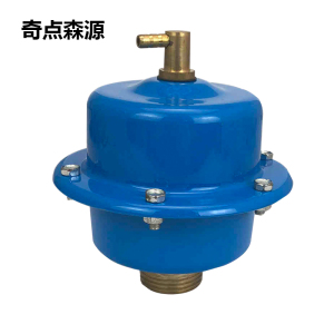 奇点森源 自动排气阀QD-130 DN25 个