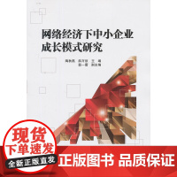 网络经济下中小企业成长模式研究