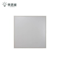 亮思能 LED应急平板灯 直发光面板灯 300*300mm LSN3006 个