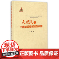 天然气与中国能源低碳转型战略(精)