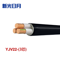 新光日月 交联聚乙烯绝缘铠装电力电缆YJV22（3芯）10平方/每米