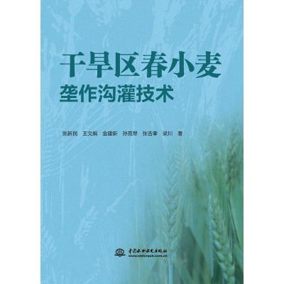 干旱区春小麦垄作沟灌技术