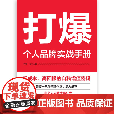 打爆 : 个人品牌实战手册