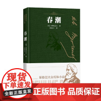 春潮 屠格涅夫 陈殿兴 译 人民文学出版社 正版书籍