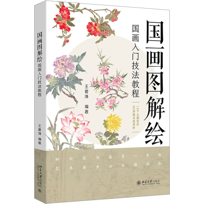 正版新书]国画图解绘:国画入门技法教程王夏涛 编著97873013565