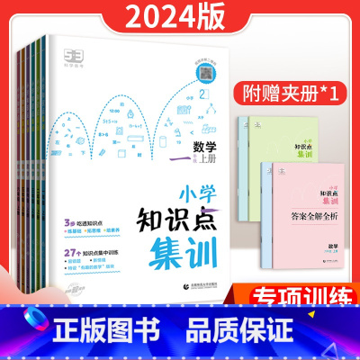 数学知识点集训 一年级上 [正版]2024秋53小学数学知识点集训 5.3小儿郎数学知识点集训二三四五六年级上册数学小学