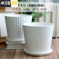 三维工匠白色陶瓷花盆带托盘大号个性创意多肉室内家用吊兰绿萝盆 两个大号(光面白+竖纹) 大花盆容器
